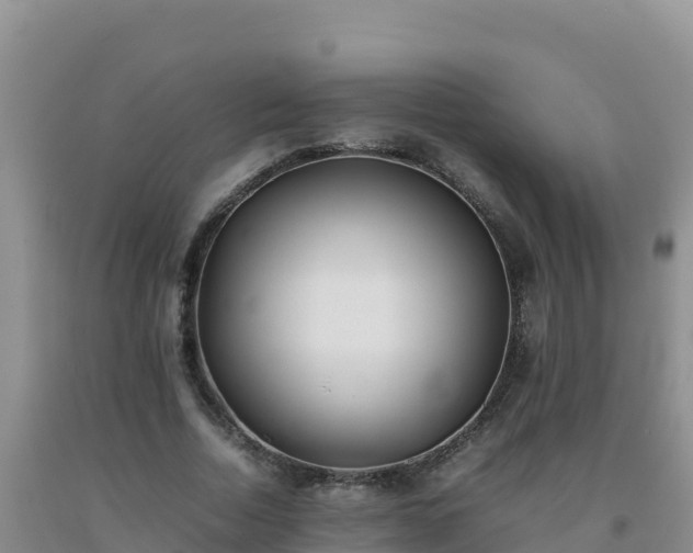 X0000092100730200709191306