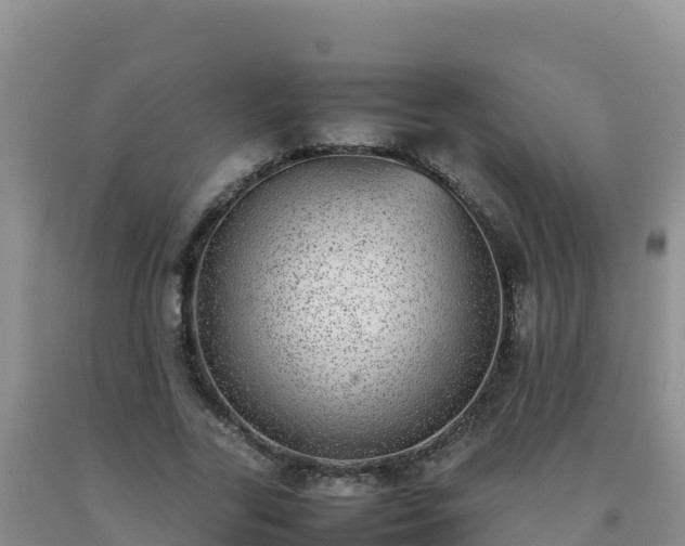 X0000092100731200709191306