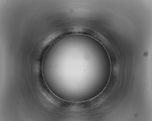 X0000092100732200709191306