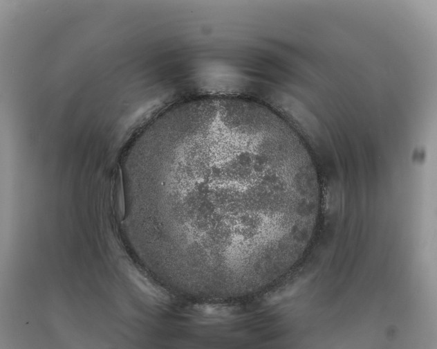 X0000092100733200709191306