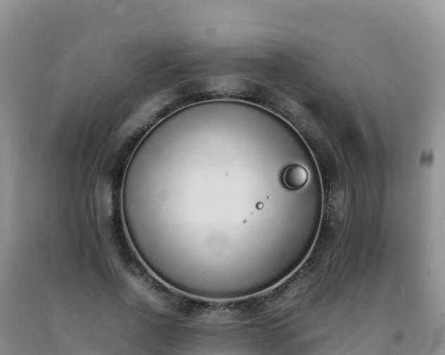 X0000092100734200709191306