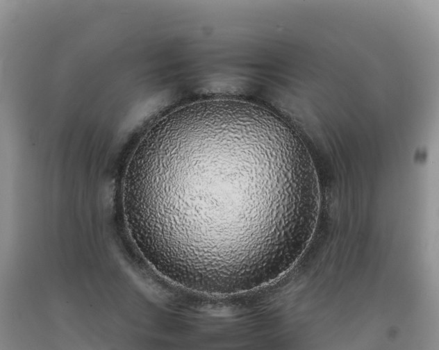 X0000092100735200709191306