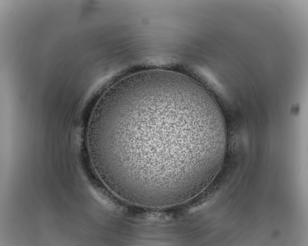 X0000092100736200709191306