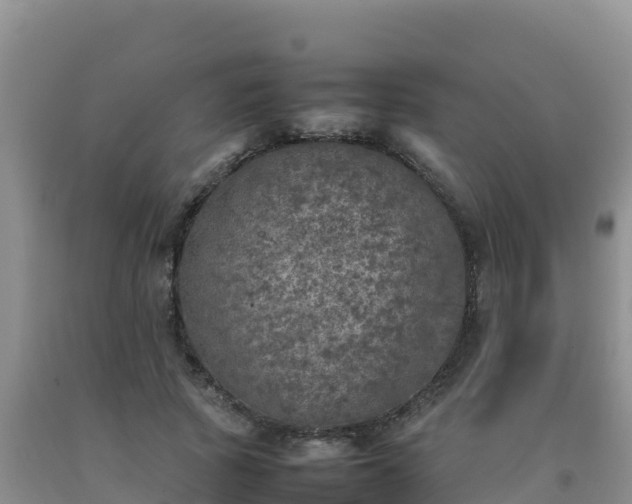 X0000092100737200709191306