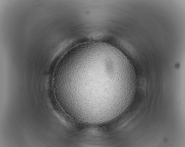 X0000092100738200709191306