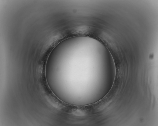 X0000092100739200709191306