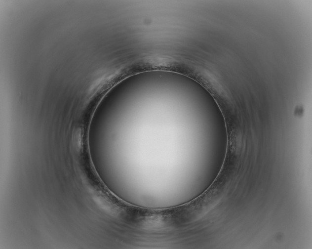 X0000092100740200709191306