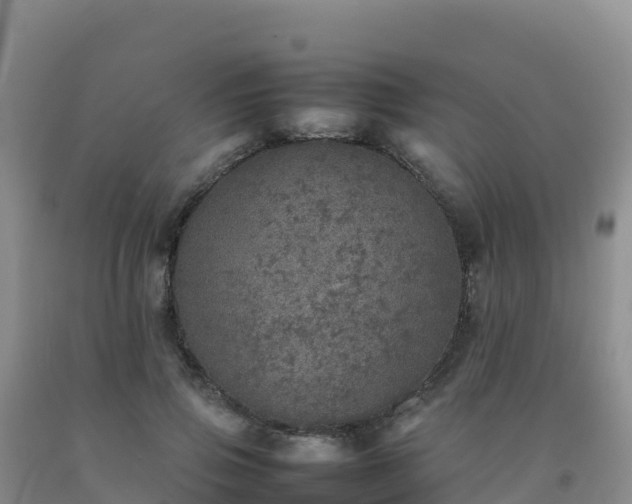 X0000092100741200709191306