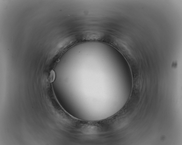 X0000092100743200709191306