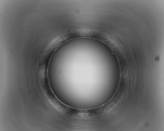 X0000092100744200709191306