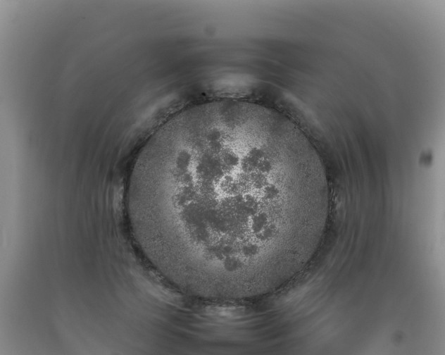 X0000092100745200709191306