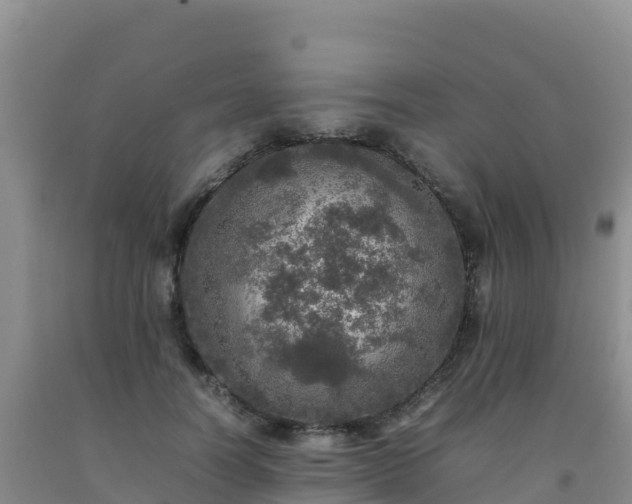 X0000092100746200709191306