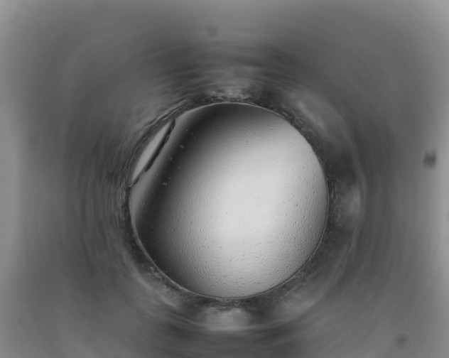 X0000092100747200709191306