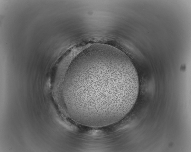 X0000092100748200709191306