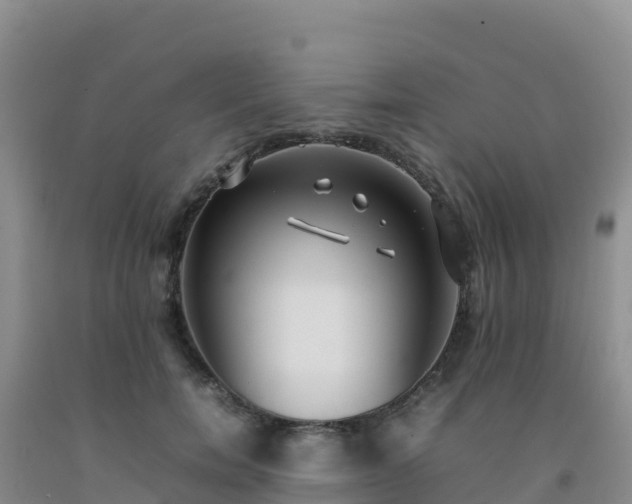 X0000092100750200709191306