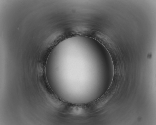 X0000092100751200709191306