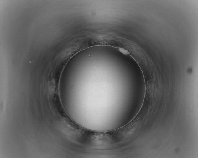 X0000092100752200709191306