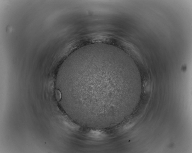 X0000092100753200709191306