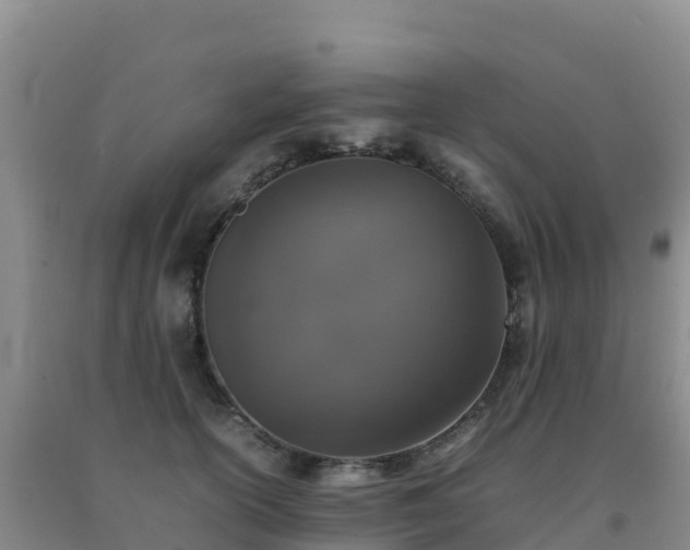 X0000092100754200709191306