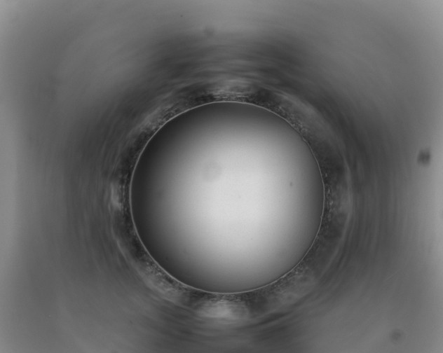 X0000092100755200709191306