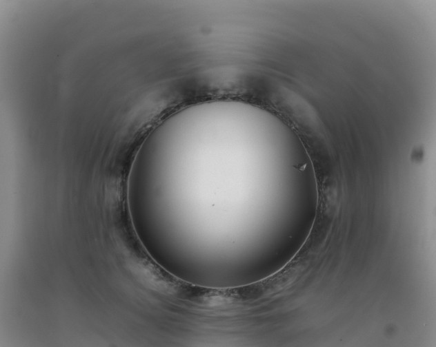 X0000092100756200709191306