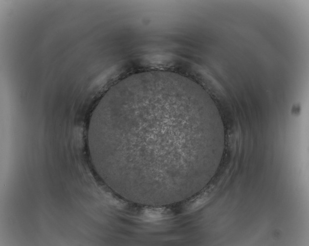 X0000092100757200709191306