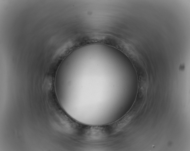 X0000092100758200709191306