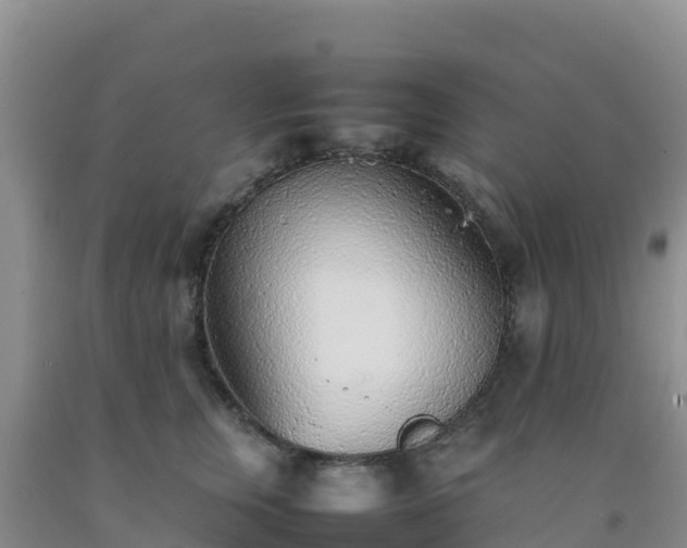 X0000092100759200709191306