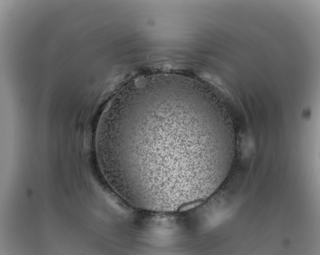 X0000092100760200709191306