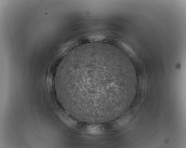 X0000092100761200709191306