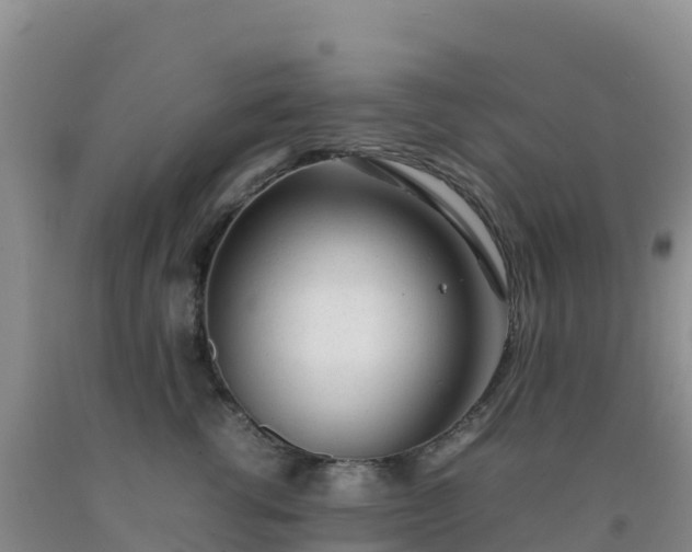 X0000092100762200709191306