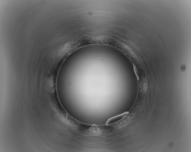 X0000092100764200709191306