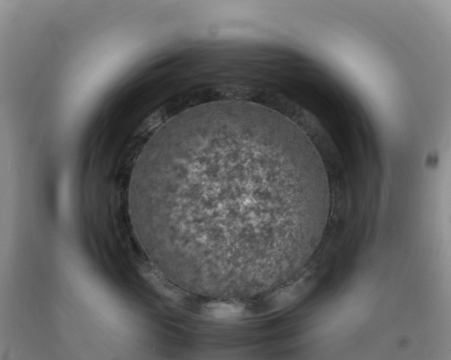 X0000092100765200709191306