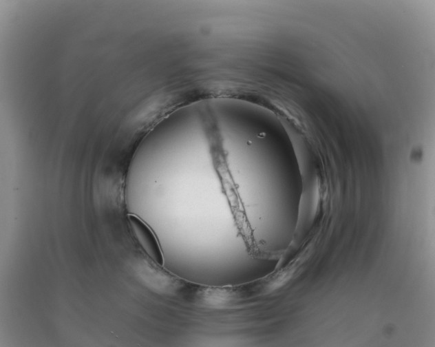 X0000092100766200709191306