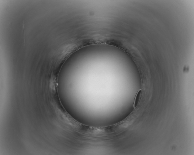 X0000092100768200709191306