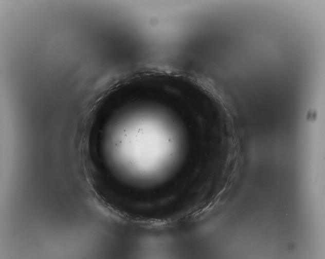 X0000092100769200709191306