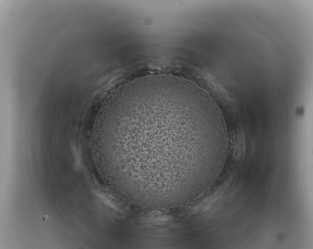 X0000092100770200709191306