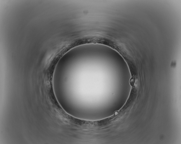 X0000092100771200709191306