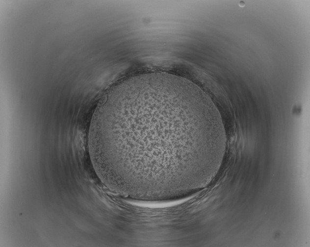 X0000092100772200709191306