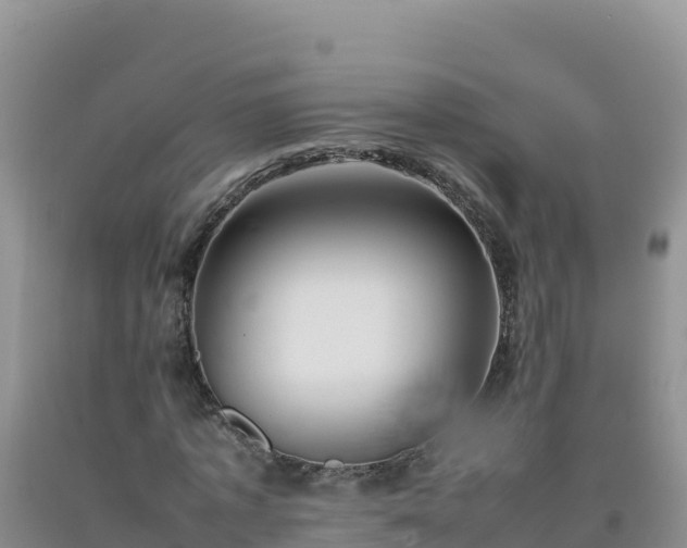 X0000092100773200709191306