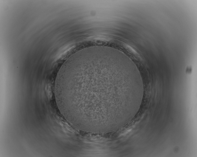 X0000092100774200709191306