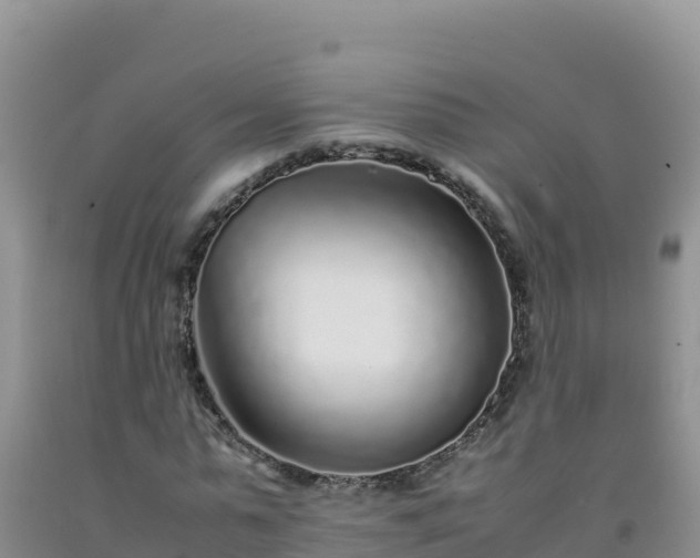 X0000092100775200709191306