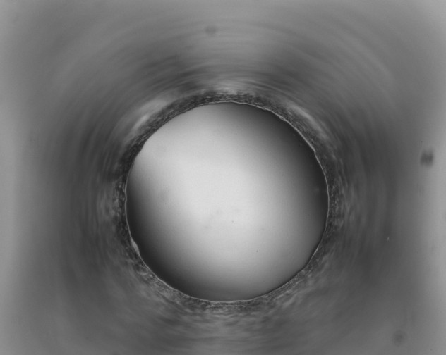 X0000092100776200709191306