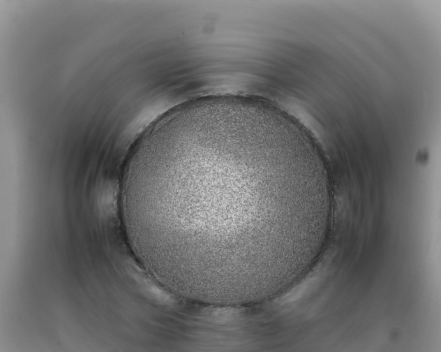 X0000092100778200709191306