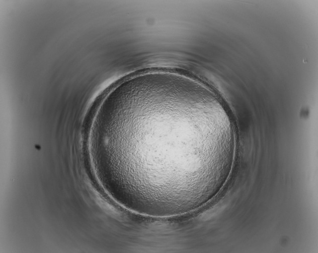 X0000092100779200709191306