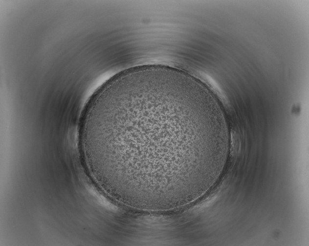 X0000092100780200709191306