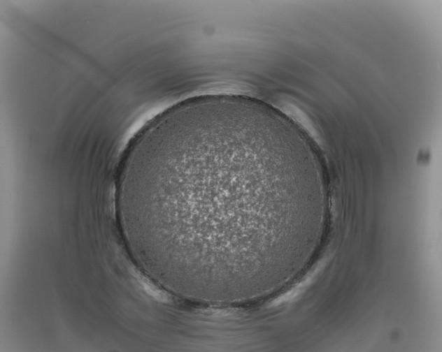 X0000092100781200709191306