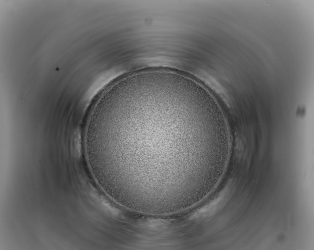 X0000092100782200709191306