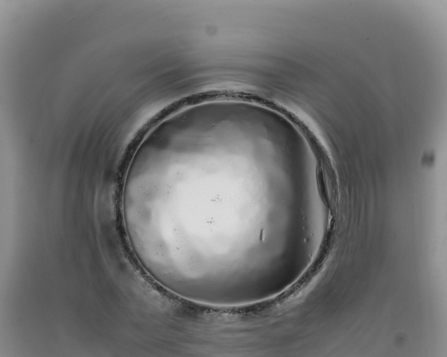 X0000092100783200709191306