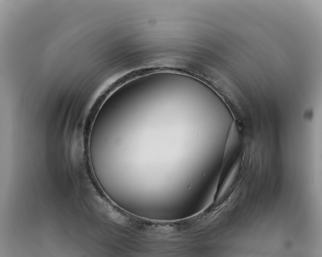 X0000092100784200709191306